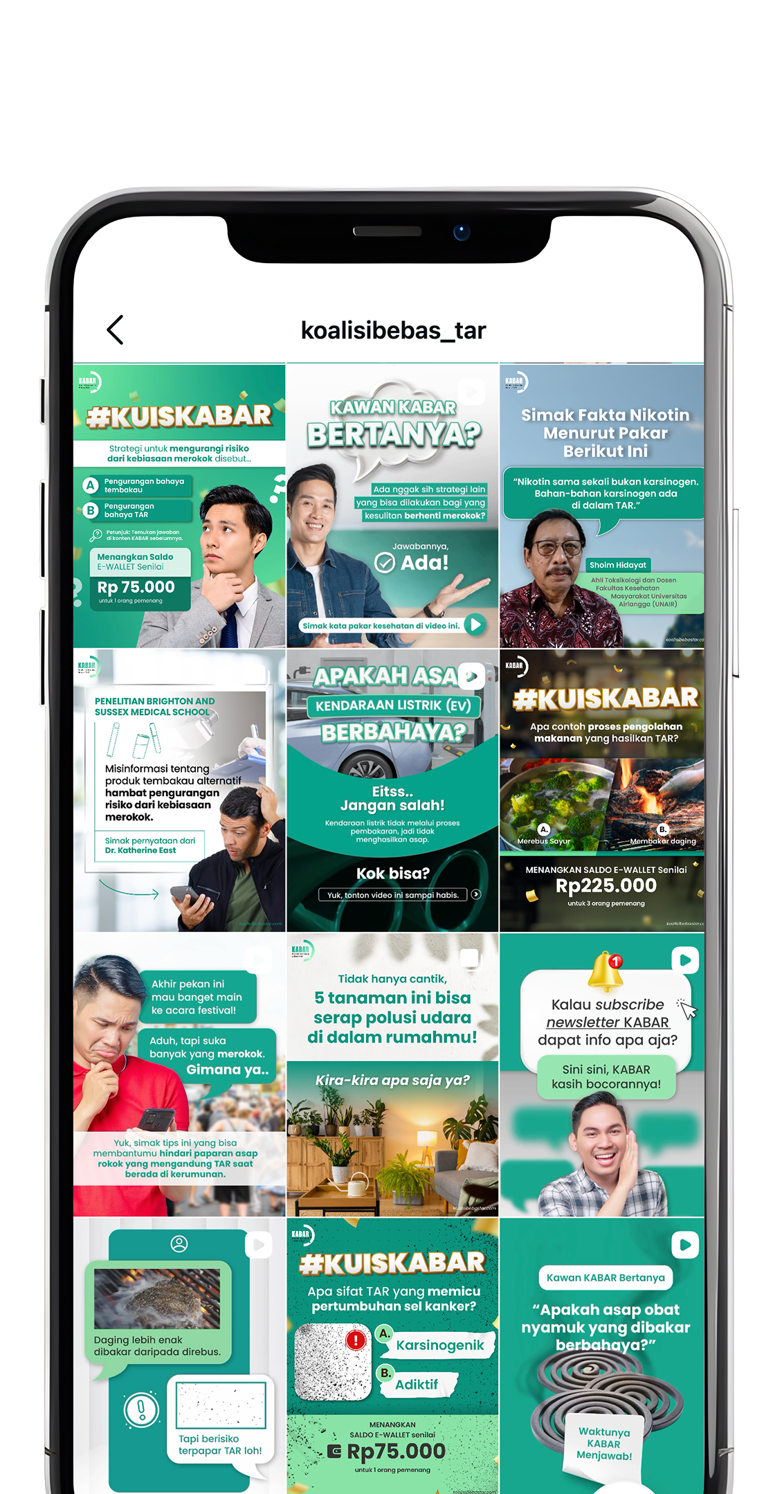 @koalisibebas_tar Instagram feed mockup