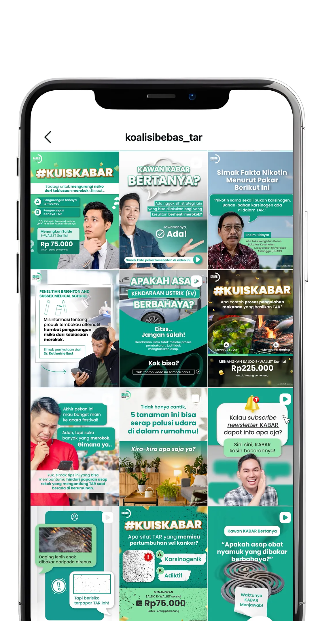 @koalisibebas_tar Instagram feed mockup